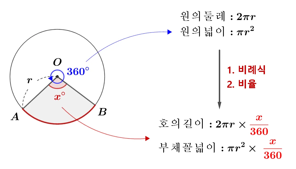 부채꼴의 호의 길이와 넓이