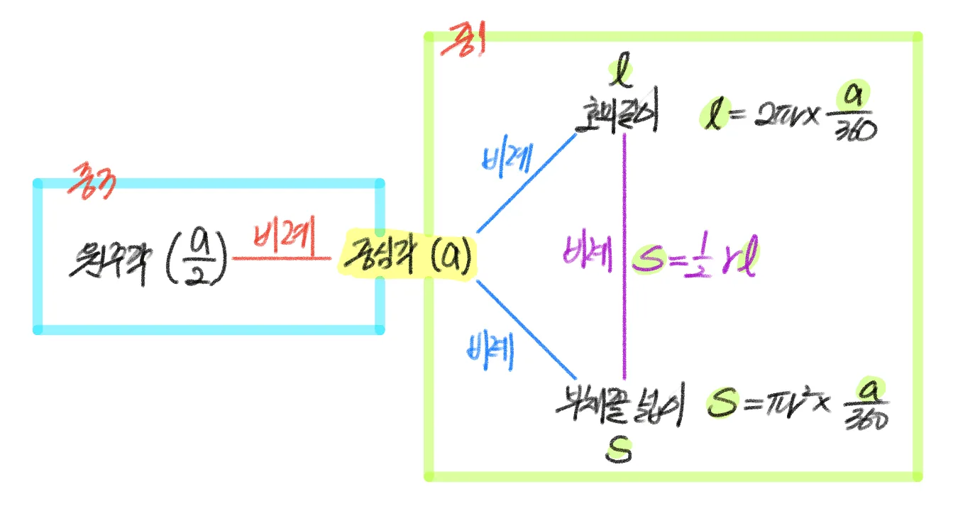 원주각 중심각 호의길이 넓이 사이 관계 원주각과 부채꼴의 호의길이, 넓이 사이 관계