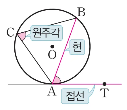 접선과 현이 이루는 각 접선과 현이 이루는 각 접현각