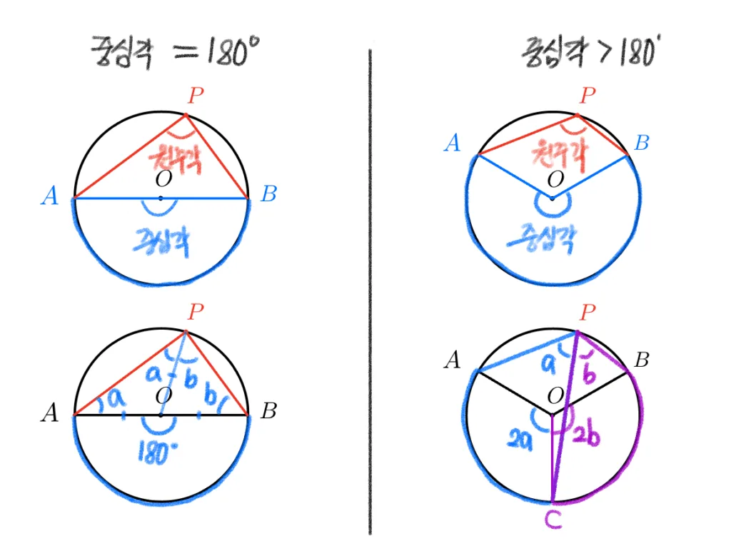 중심각과 원주각 사이의 관계 증명 2 중심각과 원주각 사이의 관계 증명 2