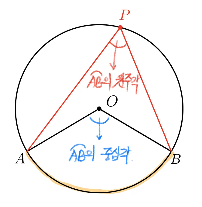 호에 대한 원주각과 중심각 정의 호에 대한 원주각과 중심각 정의