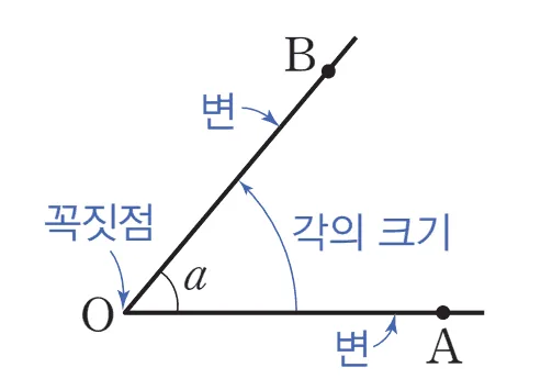 관련용어 각의 크기 변 꼭짓점