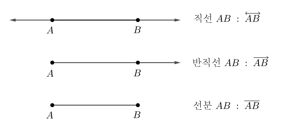 직선 반직선 선분 직선 반직선 선분