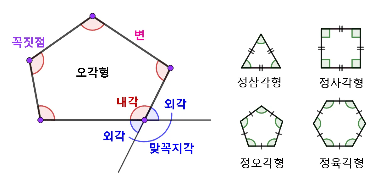 다각형 정다각형 용어 정리 다각형 정다각형 용어 정리
