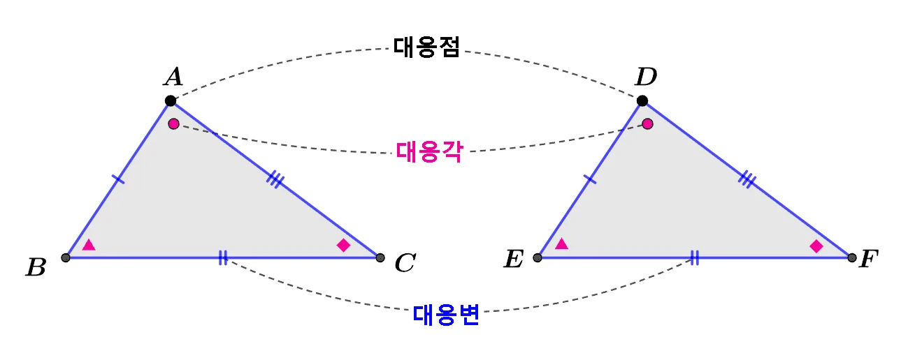합동인 삼각형 용어 정리