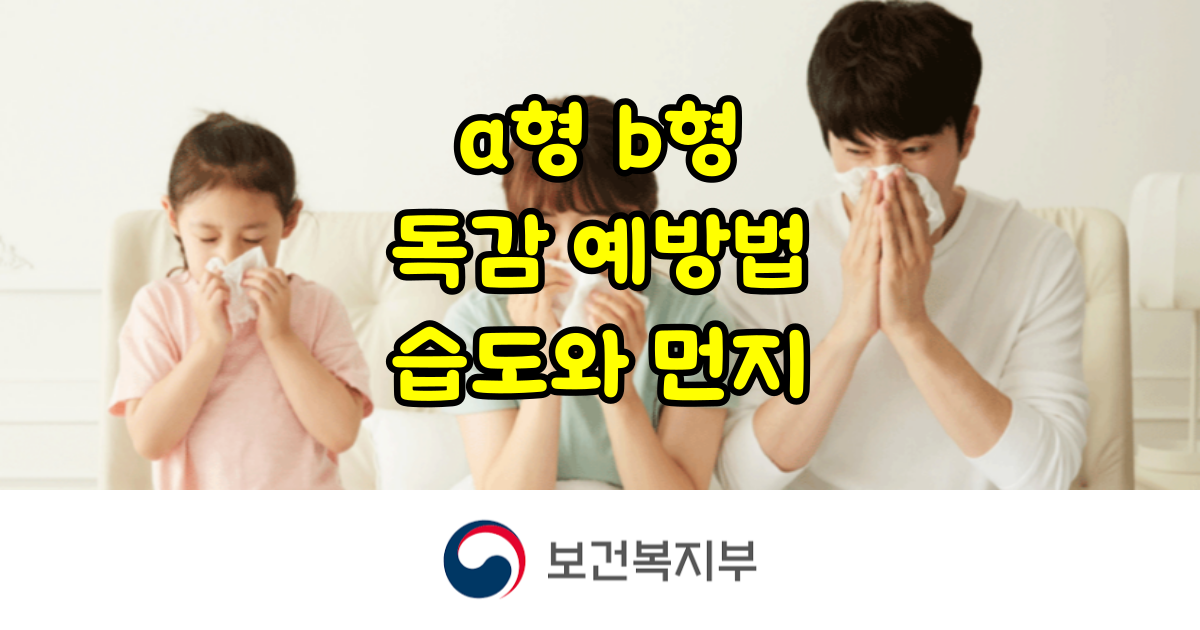 독감 감기 예방 습도와 미세먼지 과학적 근거