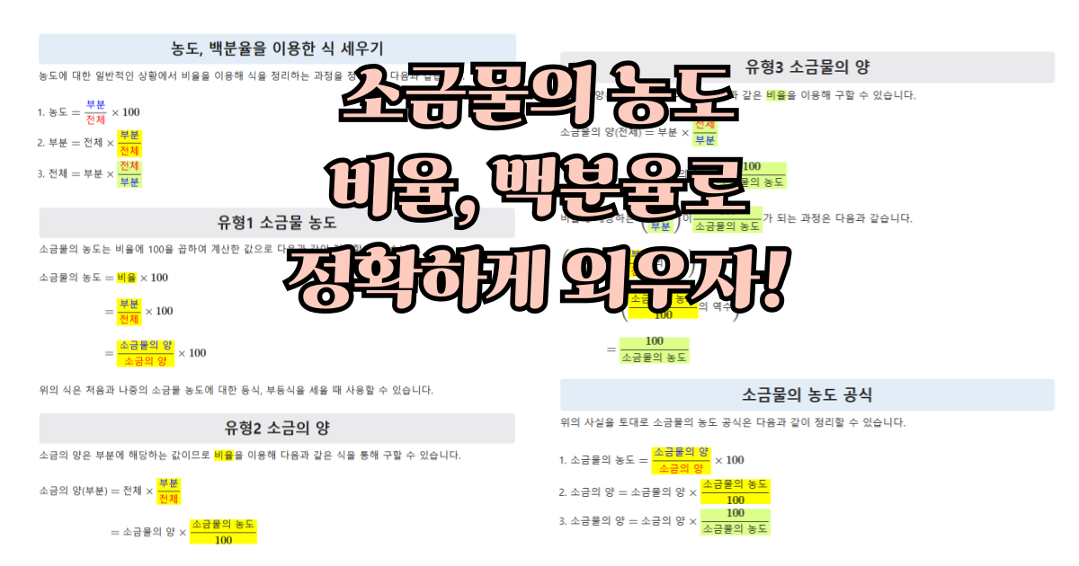 소금물 농도 : 비율과 백분율로 개념 정복