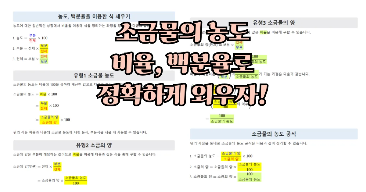 소금물 농도 : 비율과 백분율로 개념 정복