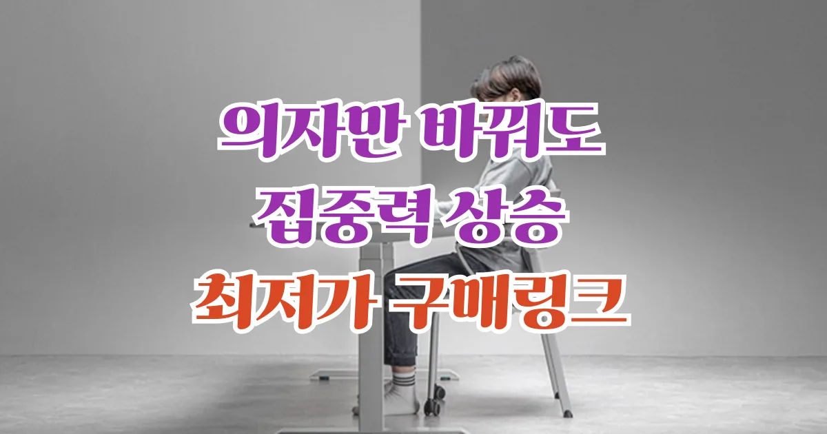 학생 공부 의자 추천 TOP2