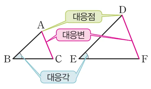 도형의 닮음 용어