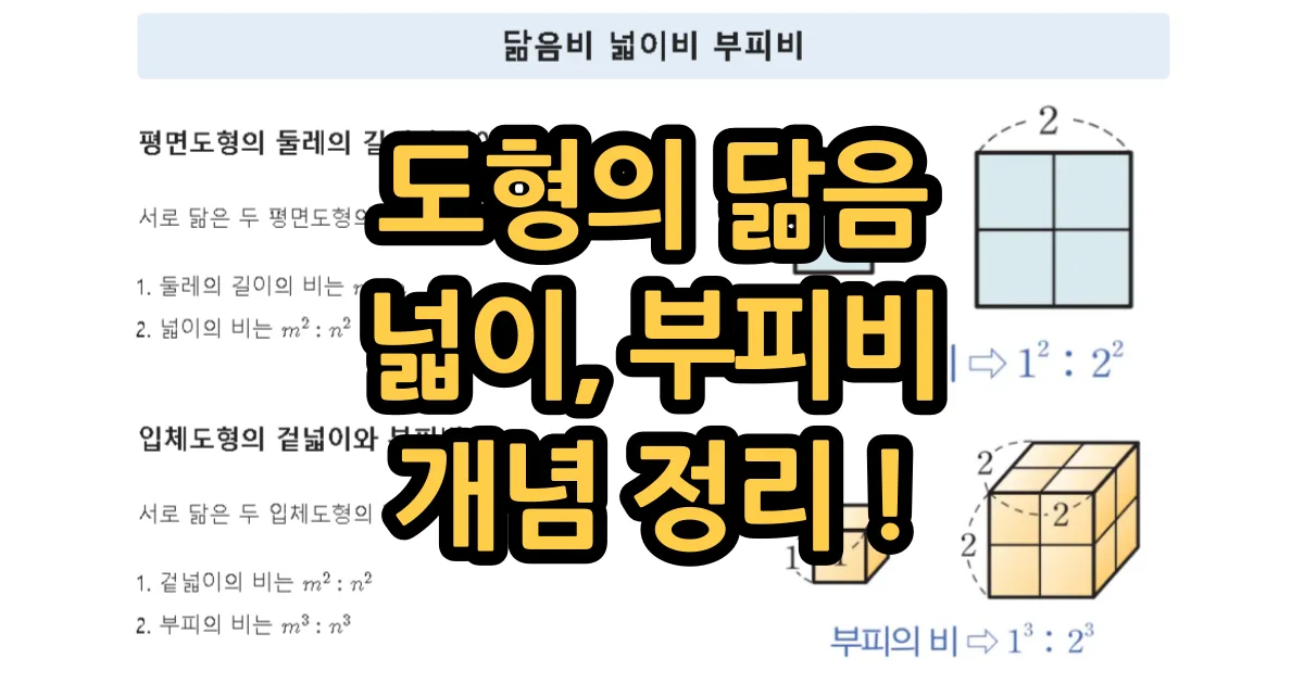 도형의 닮음