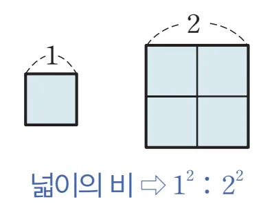 평면도형의 닮음비 넓이비